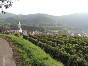 Panoramaansicht Endigen-Amoltern im Kaiserstuhl