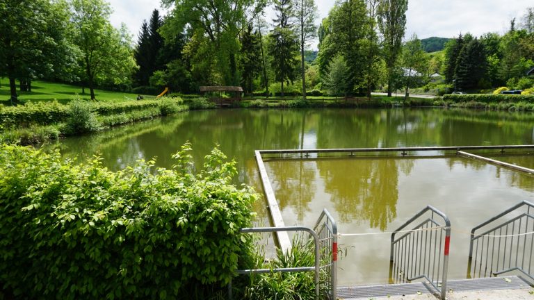 Am Erle Endingen