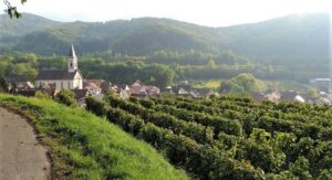 Panoramablick Amoltern
